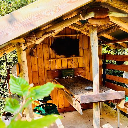 La Cabane Perchee Du Trappeur Ecrainville Экстерьер фото
