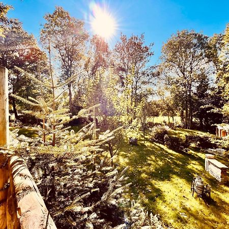 La Cabane Perchee Du Trappeur Ecrainville Экстерьер фото
