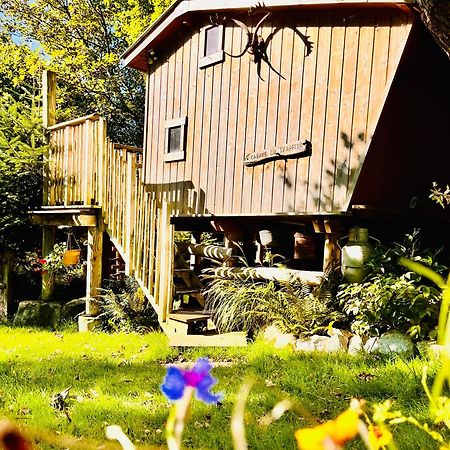 La Cabane Perchee Du Trappeur Ecrainville Экстерьер фото