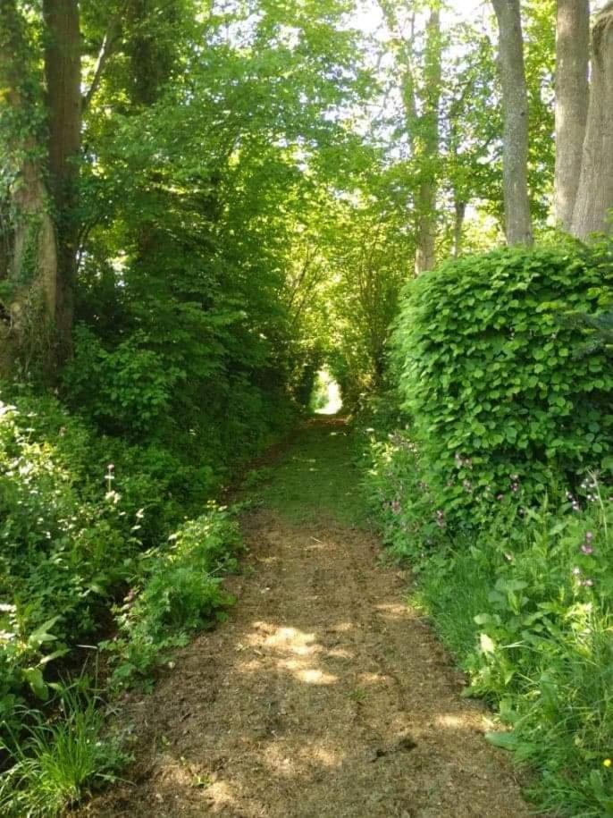 La Cabane Perchee Du Trappeur Ecrainville Экстерьер фото