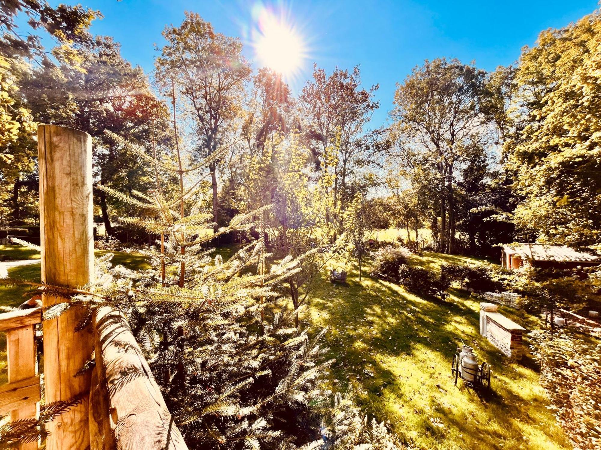 La Cabane Perchee Du Trappeur Ecrainville Экстерьер фото