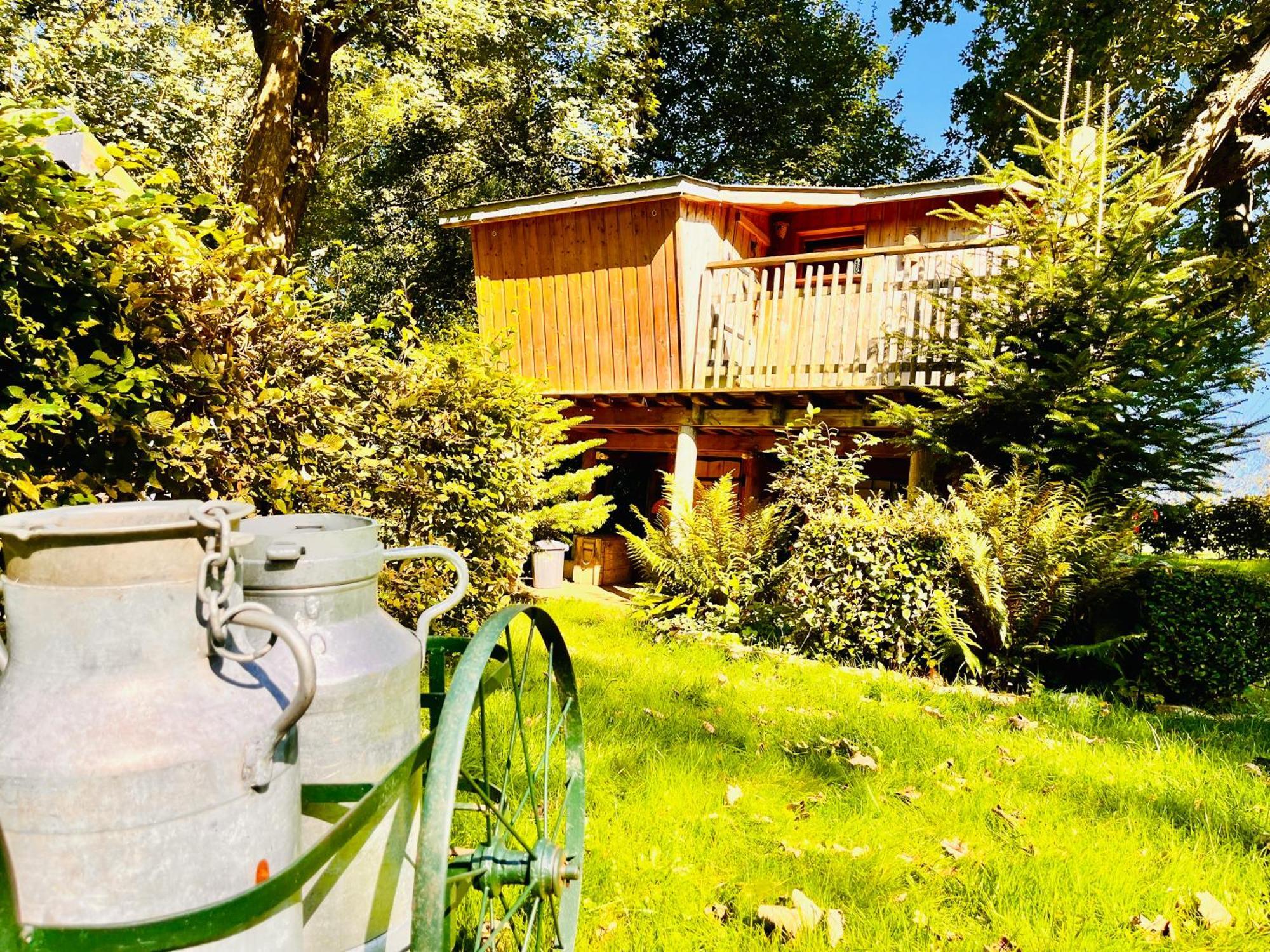La Cabane Perchee Du Trappeur Ecrainville Экстерьер фото