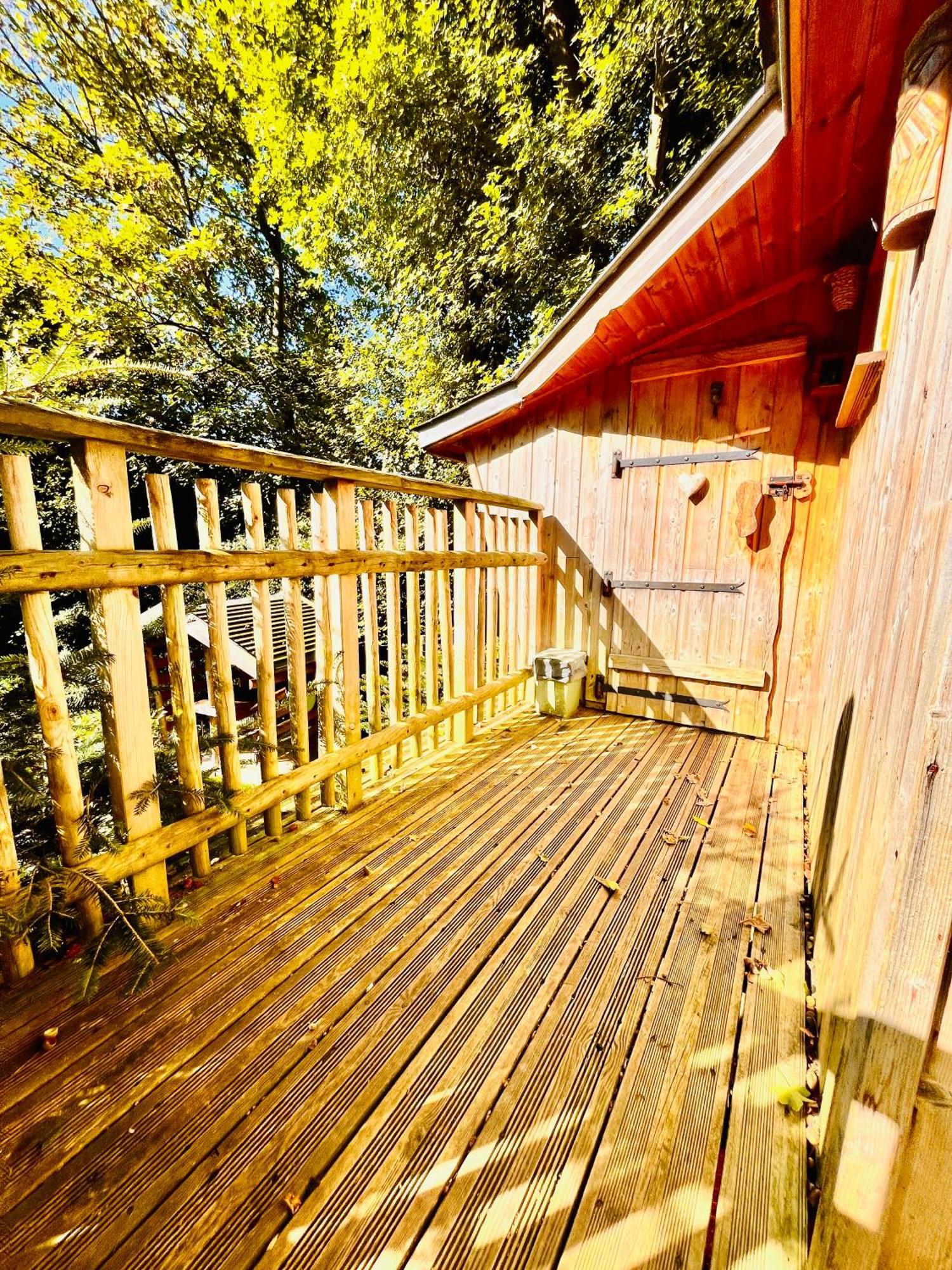 La Cabane Perchee Du Trappeur Ecrainville Экстерьер фото