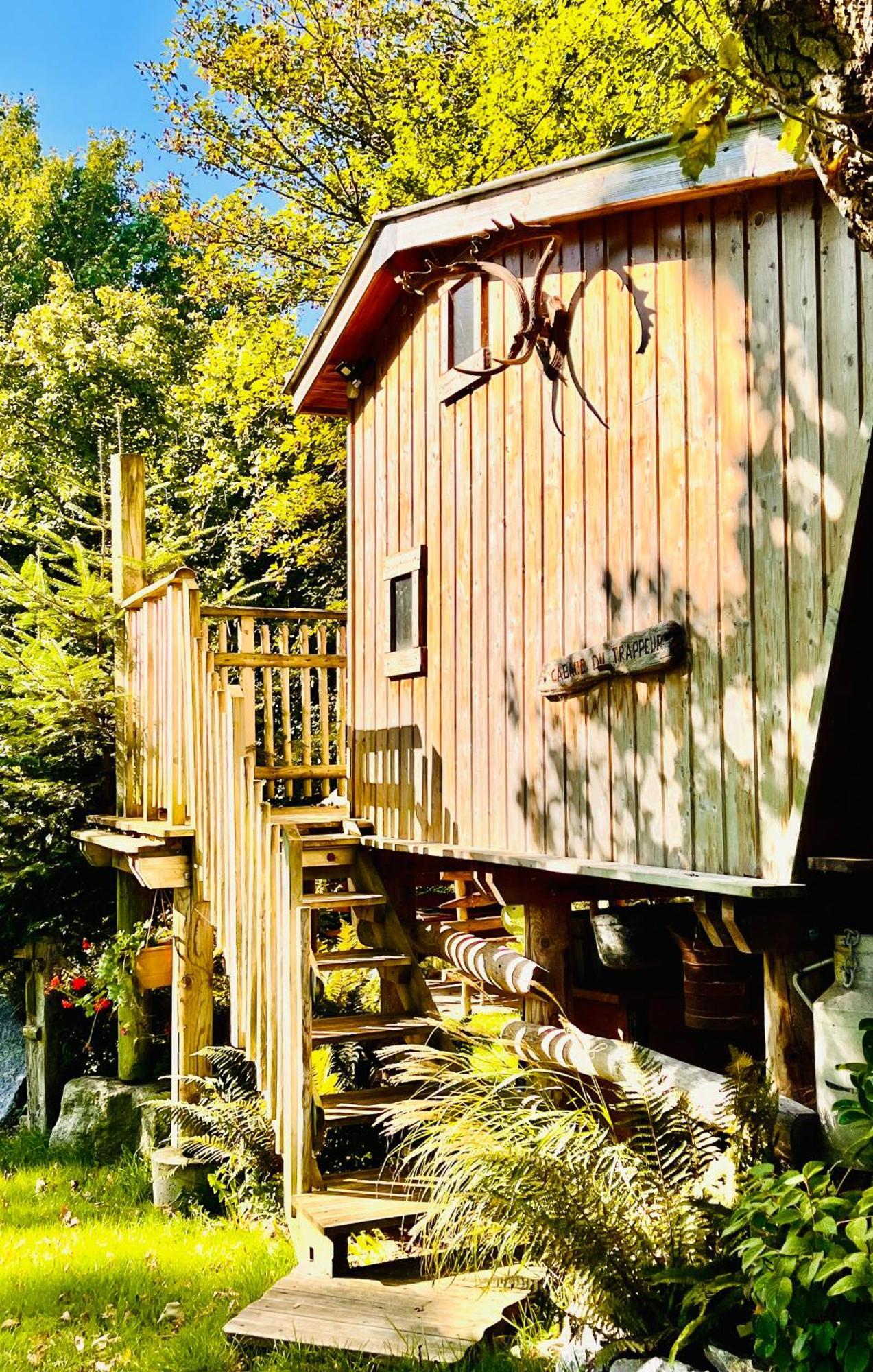 La Cabane Perchee Du Trappeur Ecrainville Экстерьер фото