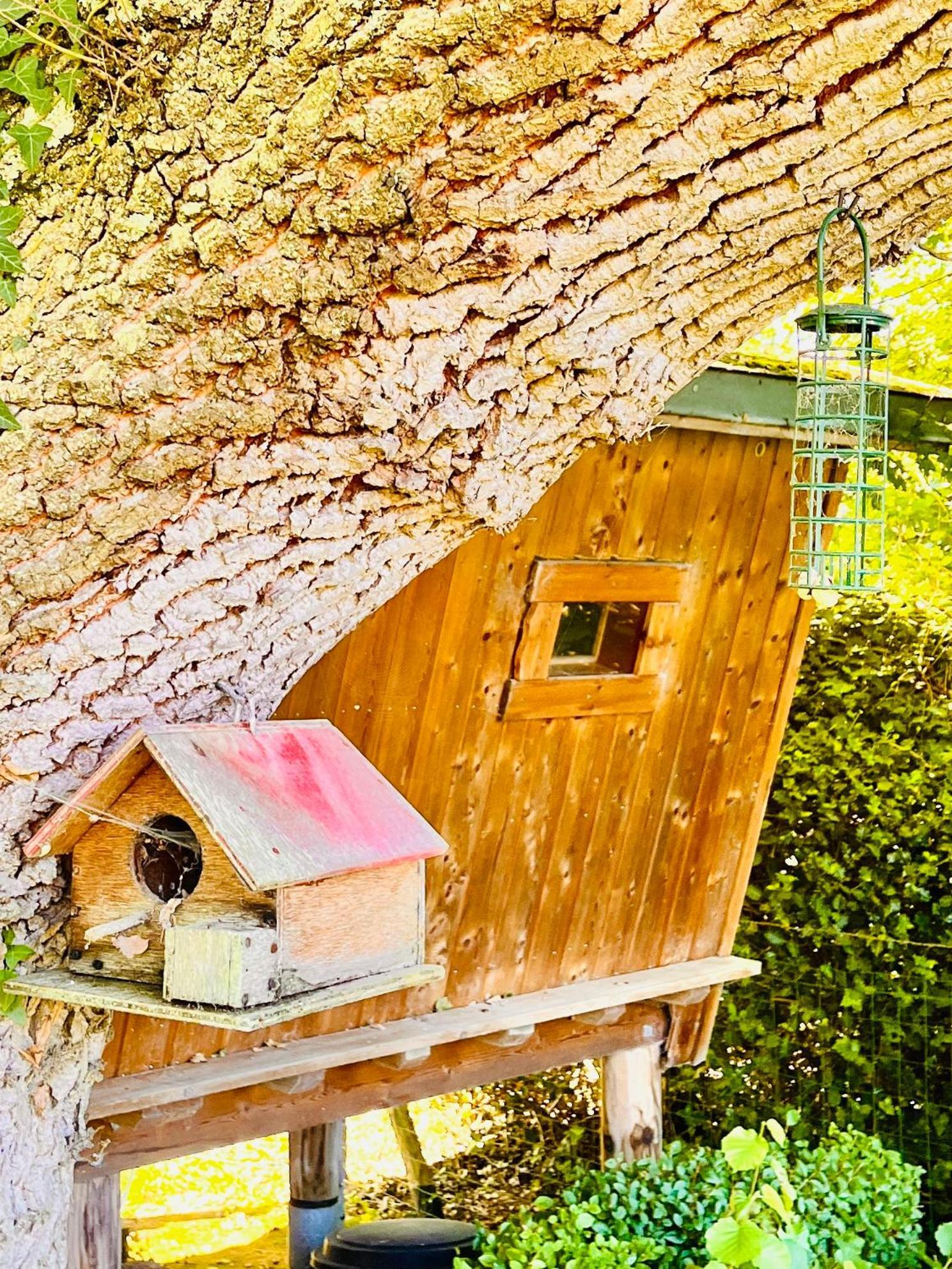 La Cabane Perchee Du Trappeur Ecrainville Экстерьер фото